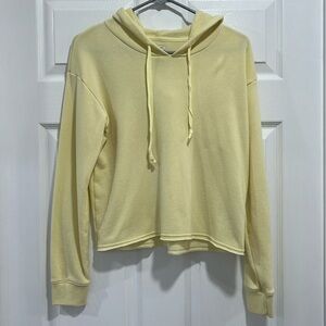 American Eagle Cropped Hoodie